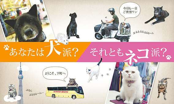 あなたは犬派? それともネコ派?