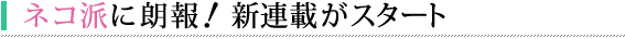 ネコ派に朗報! 新連載がスタート
