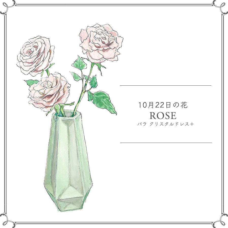 10月22日の花 クリスタルドレス 優しいニュアンスカラーで大人気のバラ 今日 花を飾るなら ブルームカレンダー