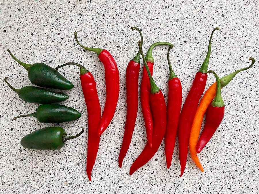 話題の調味料 ハリッサ の作り方 天日で干した野菜との即興レシピも ベルリン発レシピ集 スポンテニアス のすすめ 写真 6枚目