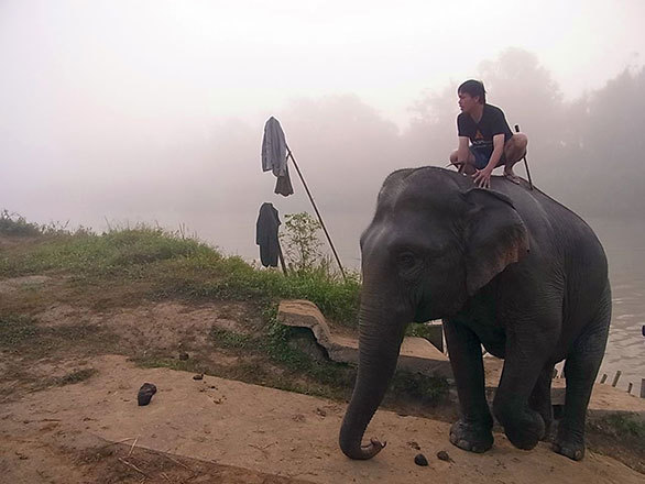2ページ目 タイ ゴールデントライアングルでは 象使いのにわか修業に参加できる トラベルライターの旅のデジカメ虫干しノート