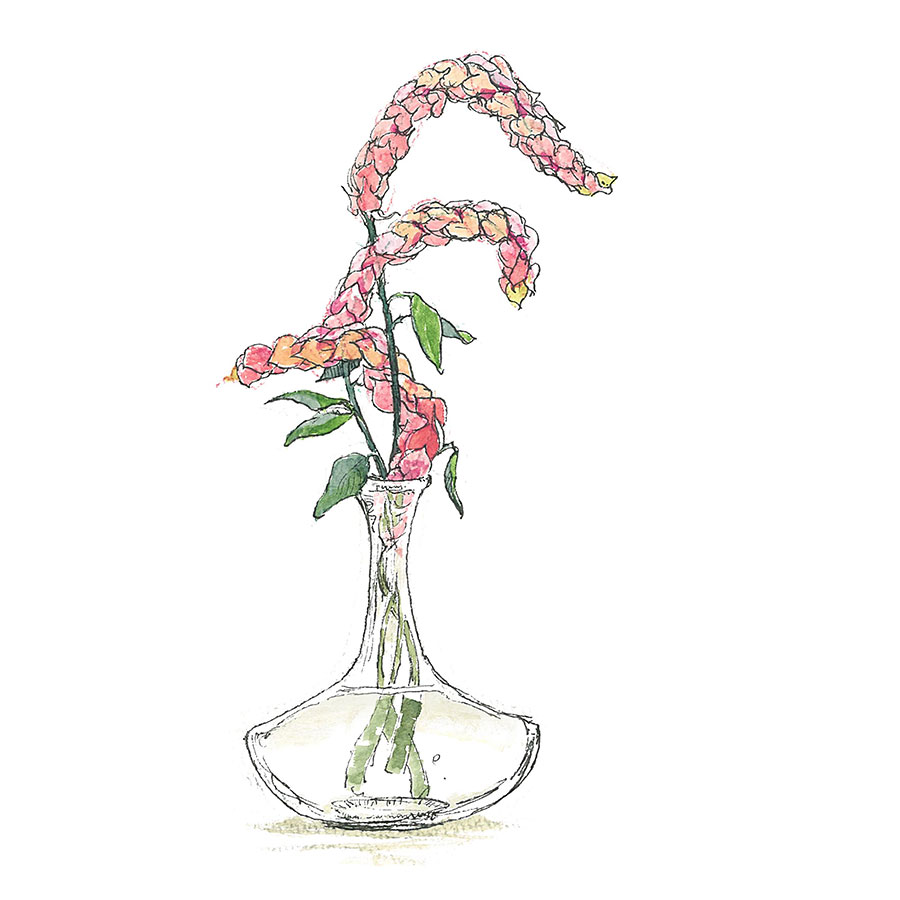 3ページ目 ちょっと気になる花言葉を持つ花8選 私を誘って下さい 変人 今日 花を飾るなら ブルームカレンダー