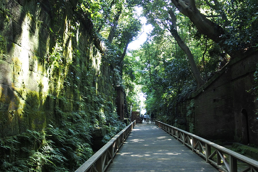 東京湾で唯一の無人島 猿島 歴史を残すレンガ造りの要塞をめぐる 古関千恵子の世界極楽ビーチ百景