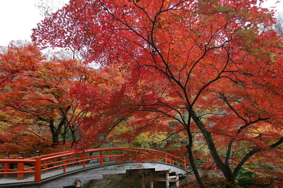 群馬県 秋の絶景 風物詩4選 多彩な紅葉が水鏡に映える山の風景 いつか行きたい 日本にしかない風景 再発見 写真 3枚目