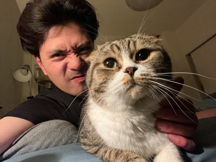 マユリカ・阪本が語った、愛猫がいる暮らし「こんなにかわいい猫がおるんやって…」「むちゃくちゃ寂しがり屋で甘えん坊なんです」