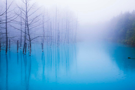 意外な偶然から北海道に生まれた 青い池 の神秘的な色彩 今日の絶景