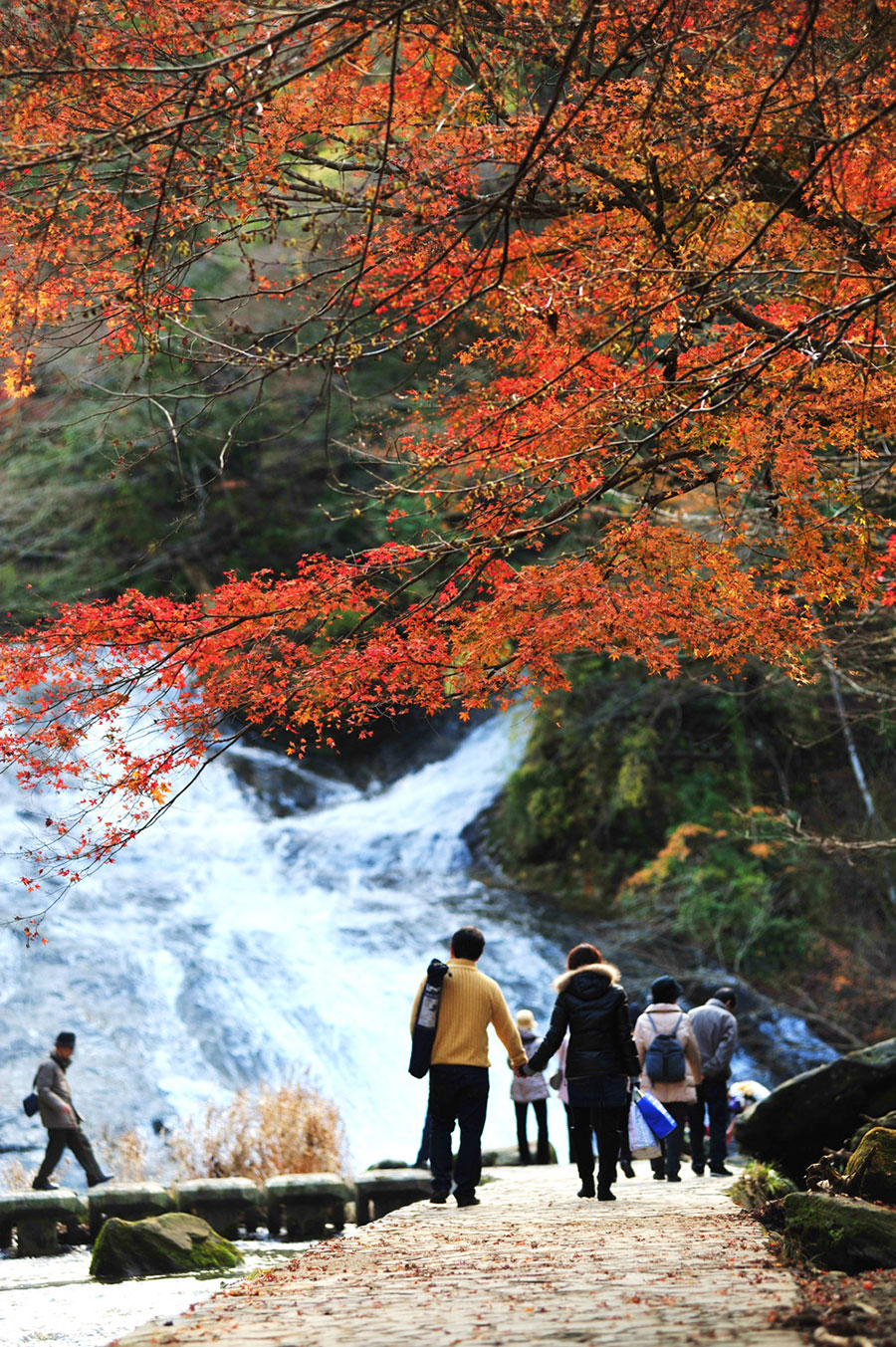 2ページ目 いつか行きたい 日本の絶景 関東エリア 秋篇2021 いつか行きたい 日本にしかない風景 再発見
