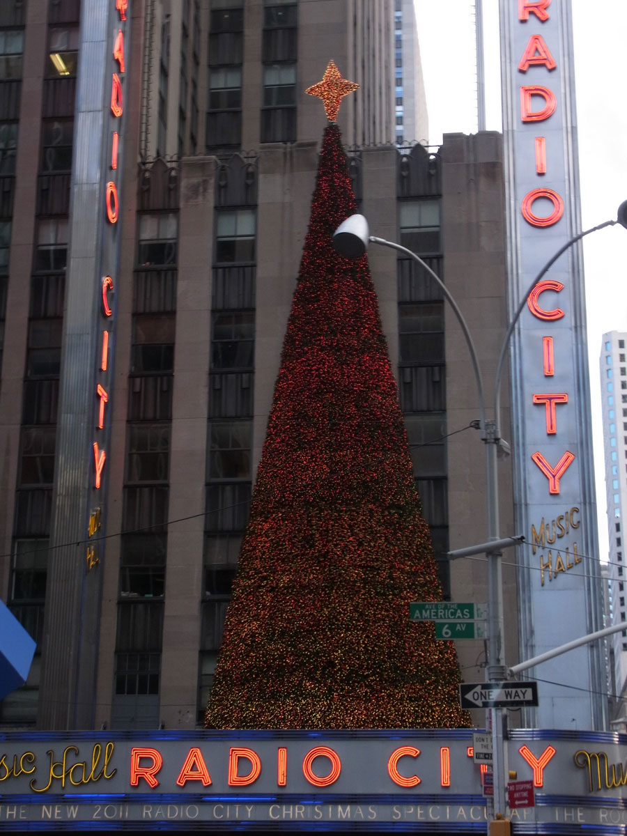 2ページ目 クリスマスリースを新年も楽しむ技 26日朝に片づけるのはもったいない 新しい私を 花と Playful Flower Life