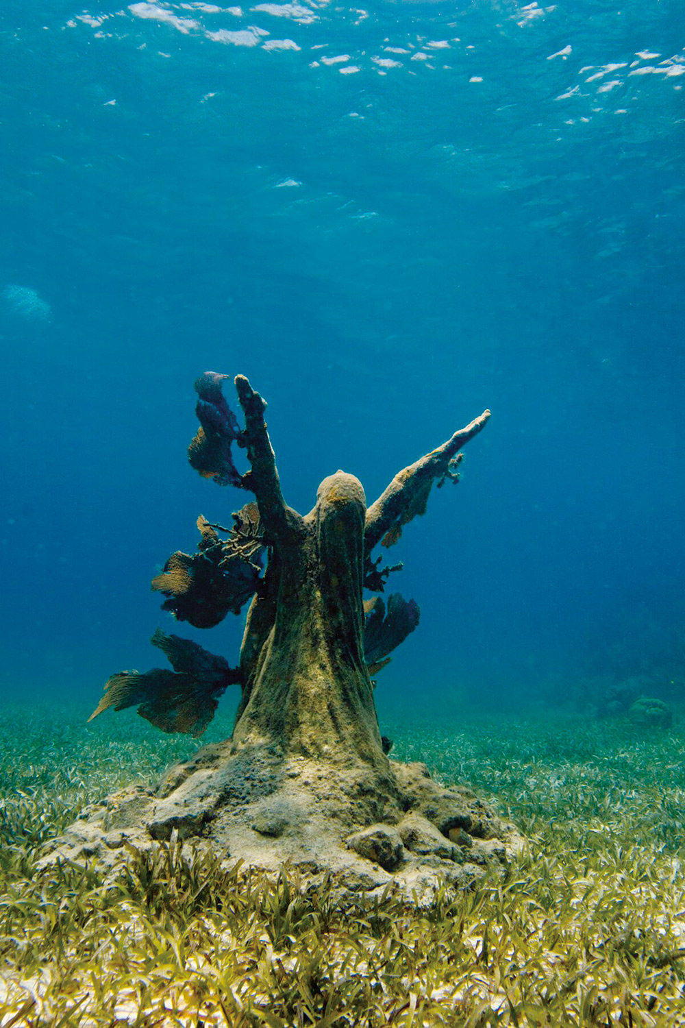 スキューバやシュノーケリングで 鑑賞する 海底美術館 に潜入 世界の個性派美術館