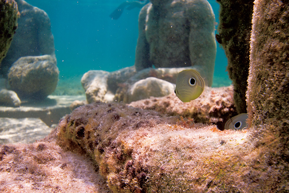 スキューバやシュノーケリングで 鑑賞する 海底美術館 に潜入 世界の個性派美術館