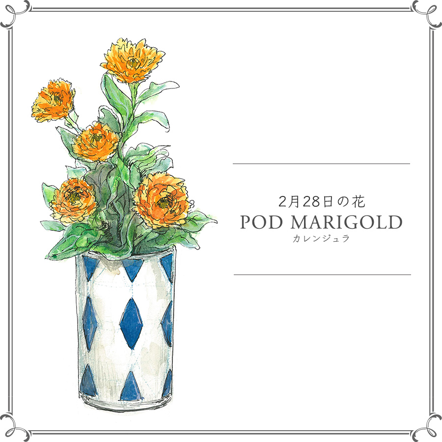 2月28日の花 カレンジュラ 早春の花壇をにぎわせるポップな花 Crea Web Goo ニュース