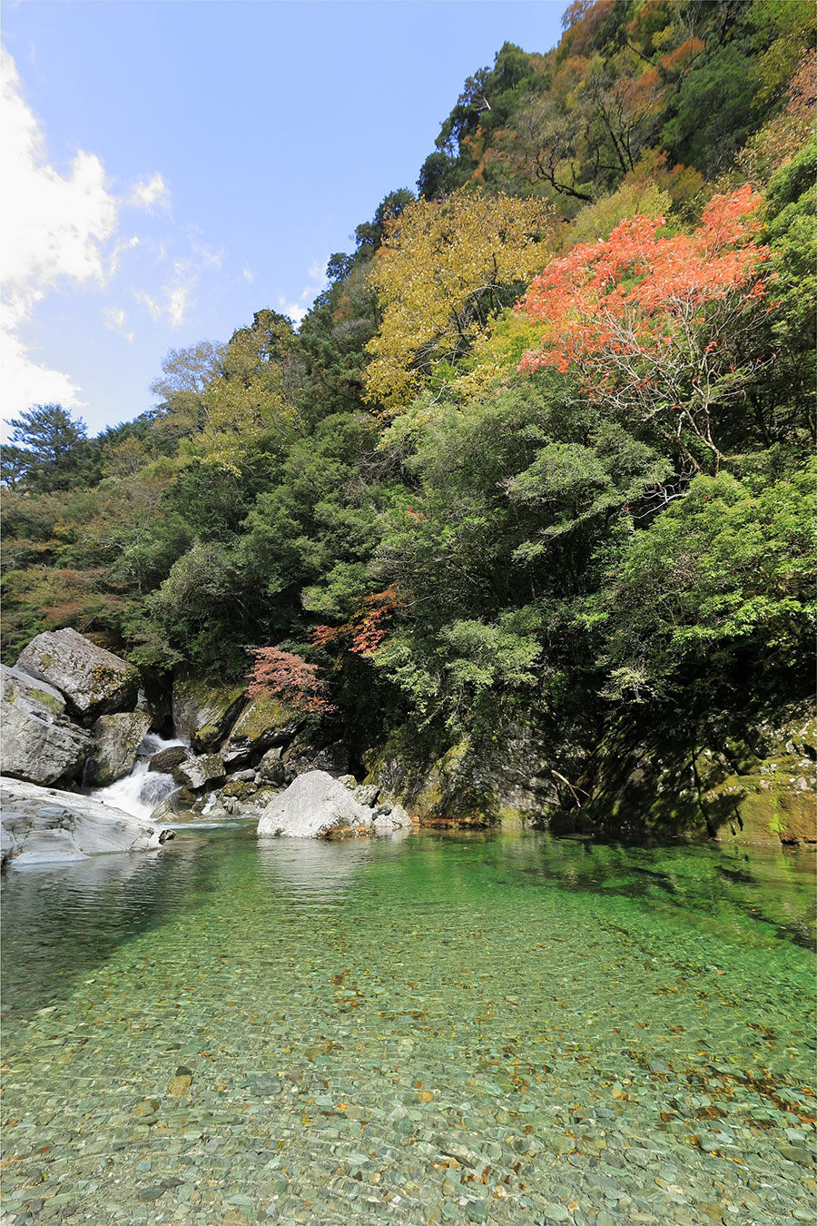 高知県 秋の絶景 風物詩5選 秋晴れの空の下で輝くひまわり畑 いつか行きたい 日本にしかない風景 再発見 写真 3枚目