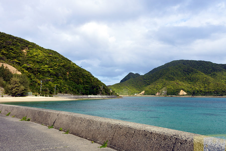 東洋のガラパゴス 奄美大島で 快眠体験と海中ミステリーサークル 古関千恵子の世界極楽ビーチ百景 東洋のガラパゴス 奄美大島で 快眠体験と海中ミステリーサークル 古関千恵子の世界極楽ビーチ百景