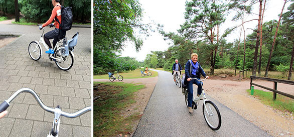 ゴッホの森 を自転車で駆け抜け オランダらしさに浸れる村を訪れる