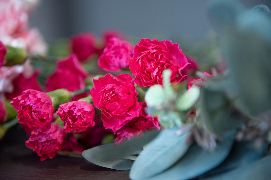 2ページ目 母の日のカーネーションを賢くゲット 安く買える期間 新鮮な花の見分け方 新しい私を 花と Playful Flower Life