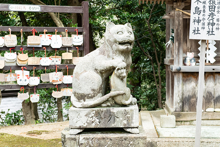 京都の魅力再発見 金刀比羅篇 日本でもここだけの珍しい狛猫さん まだ見ぬ世界へ 北京都の魅力再発見