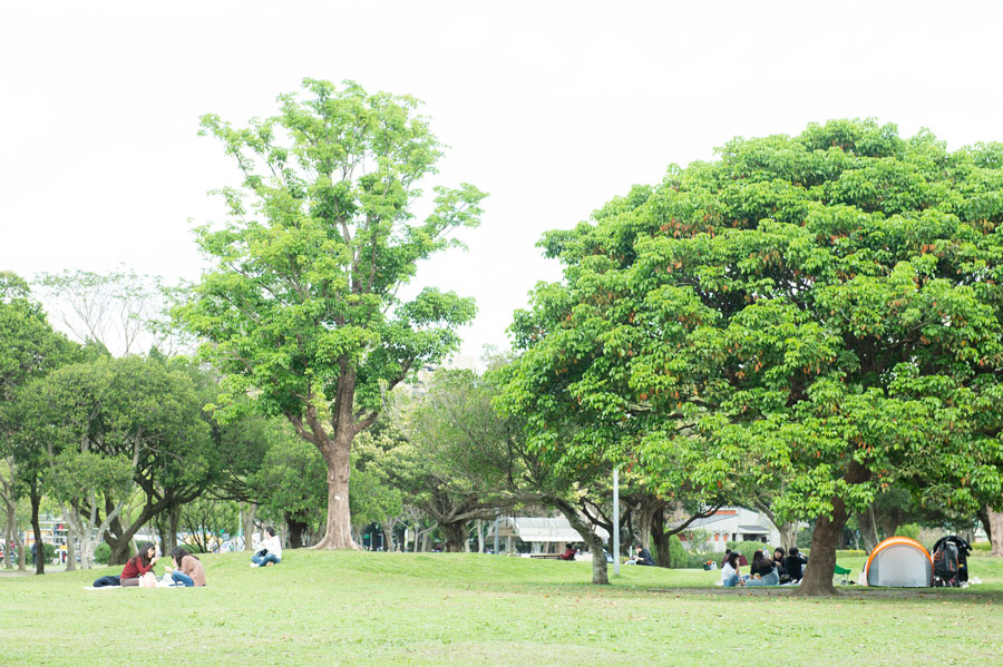2ページ目 台北の公園で買い食いピクニック 広い青空の下でお弁当を楽しもう