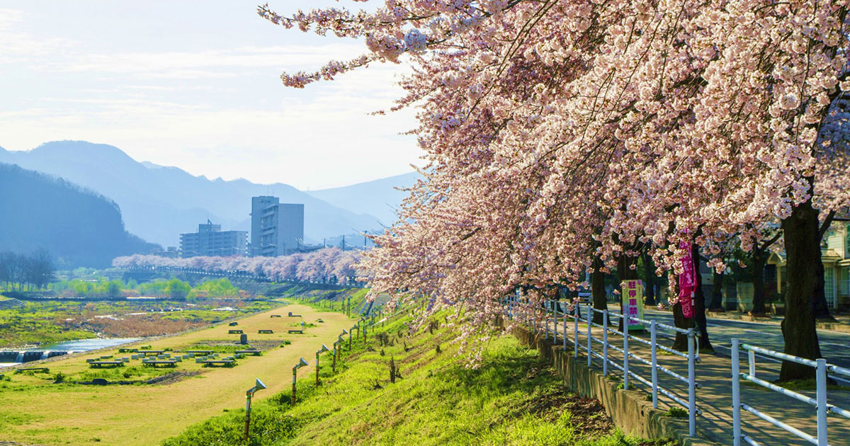日本の風景 めぐり来る春 img_4da57486a5573063ab77d0a8c1
