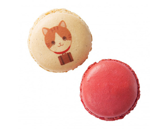 2ページ目 東京駅グランスタでいまなら買える かわいい猫弁 猫スイーツ