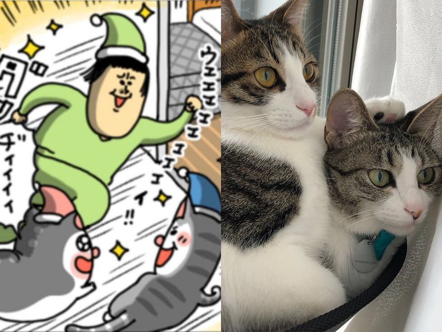 ブログ月間7000万PVのまめきちまめこ、猫マンガの描き方に転機？ 「二足歩行の猫ではかわいさを描ききれない」