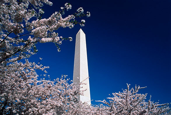 ワシントンに聳え立つ巨大な塔の 上下の色が微妙に違う理由とは 今日の絶景