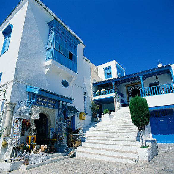 ある一人の男爵の嗜好が生み出した チュニジアの 白と青の小さな楽園 今日の絶景