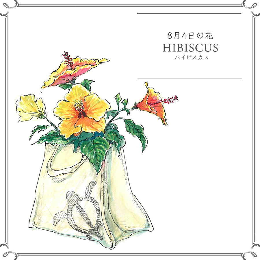 8月4日の花 ハイビスカス 南国テイストのエコバッグを鉢カバーに 今日 花を飾るなら ブルームカレンダー