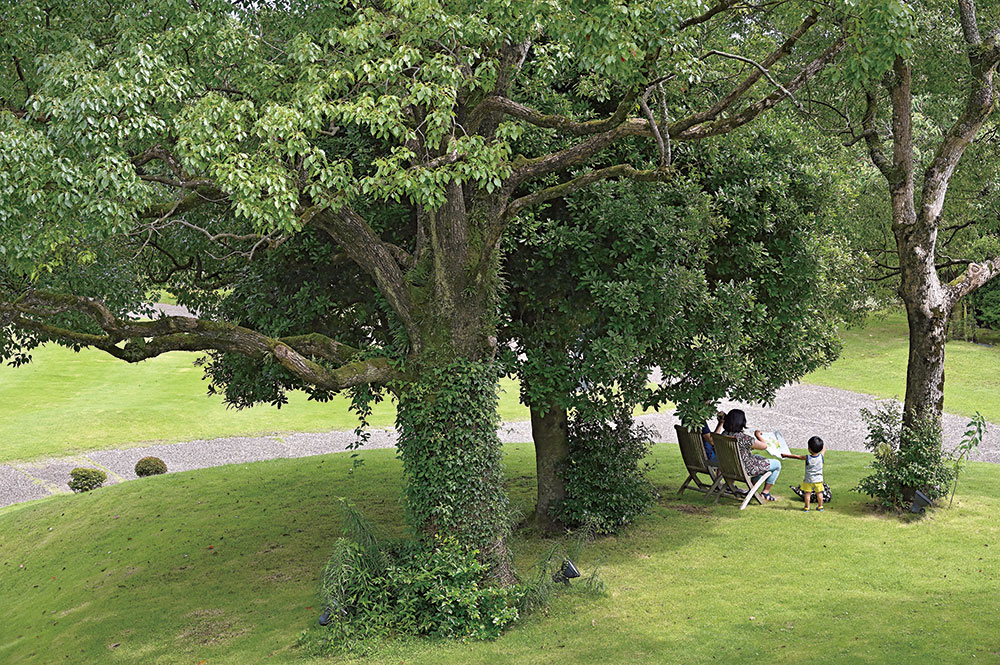 2ページ目 ヴァンジ彫刻庭園美術館 静岡 クレマチスの丘にそびえる