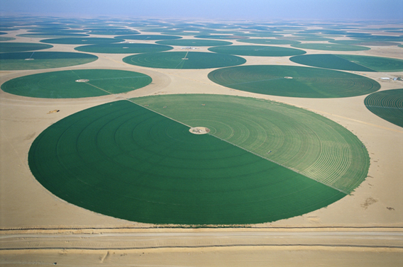 サウジの砂漠を埋め尽くす無数の緑の円の正体は 今日の絶景