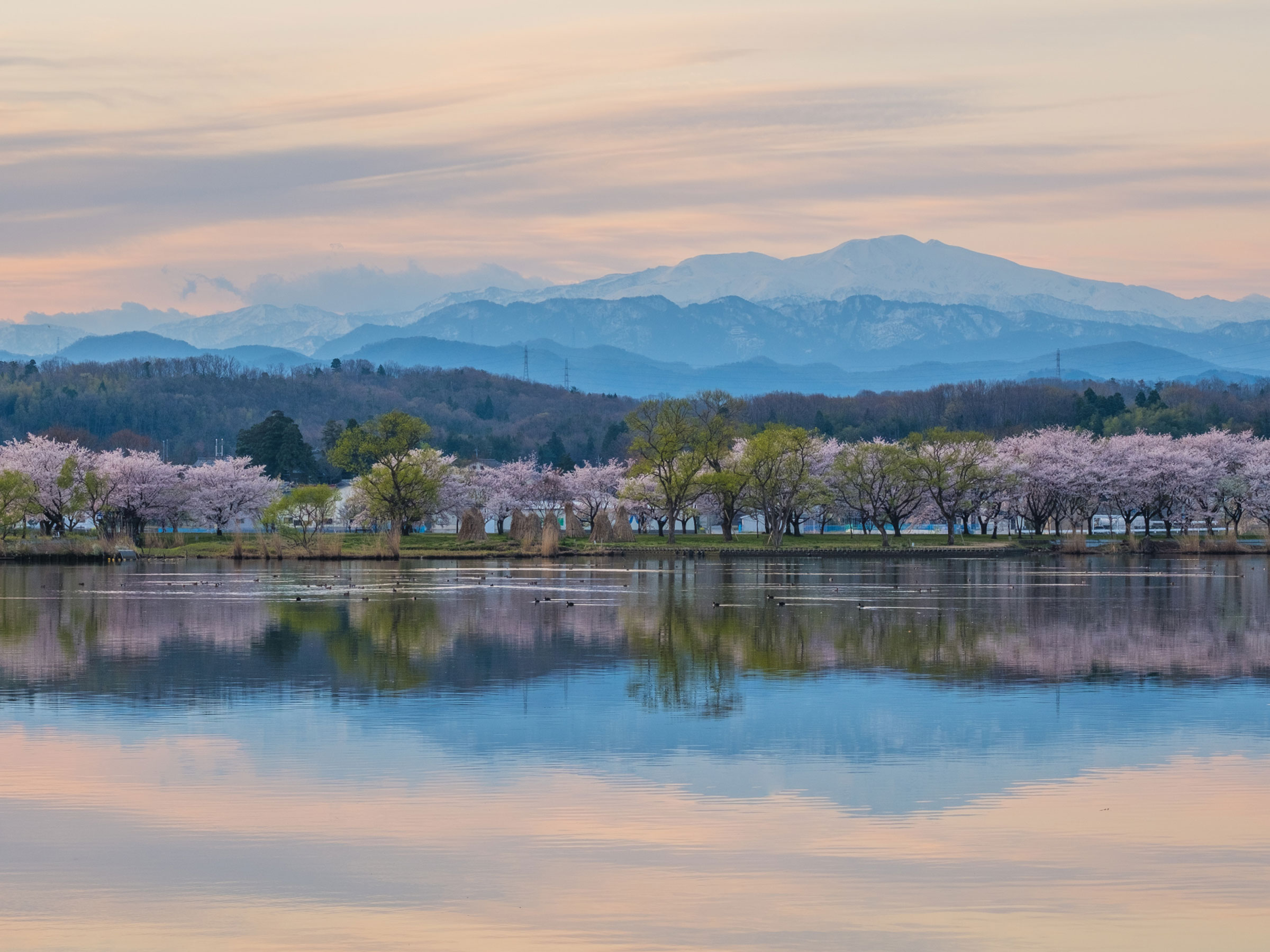 【石川県】春の絶景・風物詩4選 湖に桜並木と山が映り込む耽美な風景