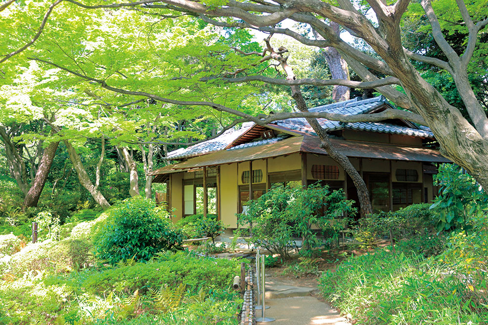 由緒正しき 東京都庭園美術館 100年近く続く庭園とアートの妙