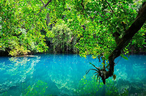 空が落ちてきた と譬えられる 南洋のジャングルに潜む青く透明な泉 今日の絶景