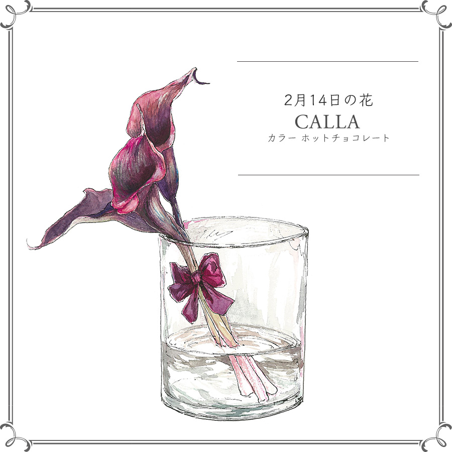 2月14日の花 ホットチョコレート 限りなく黒に近い紫色が美しいカラー Crea Web Goo ニュース 2月14日の花 ホットチョコレート 限りなく黒に近い紫色が美しいカラー Crea Web Goo ニュース