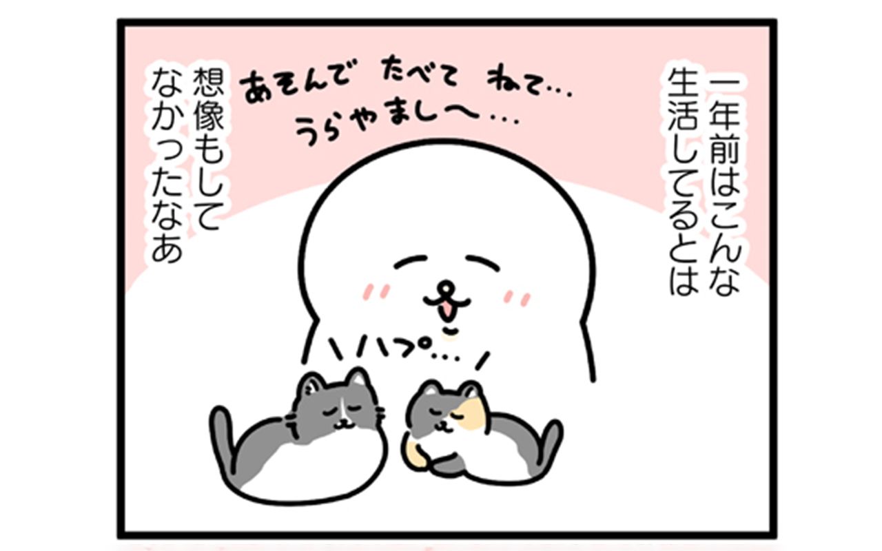 すごく可愛いし 飼いたいけど 保護猫の譲渡会で 代イラストレーターが感じたこと