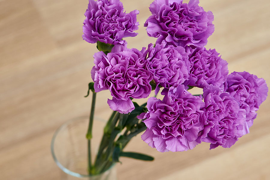 2ページ目 青い花 で夏の暮らしを涼やかに インクを使って簡単に作る方法も 新しい私を 花と Playful Flower Life