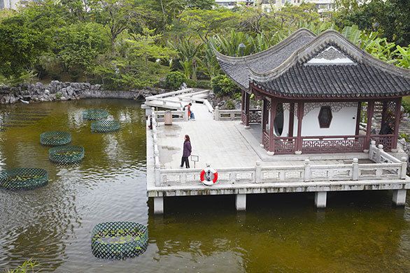 東洋の魔窟 と呼ばれた九龍城砦は すべて解体され公園に生まれ変わった 今日の絶景