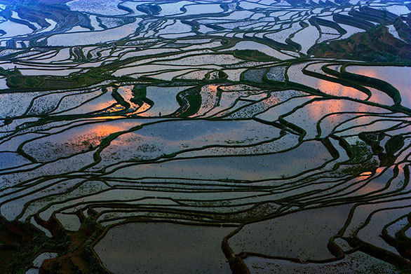 雲南省の少数民族が守り続ける まるで地上絵のような棚田 今日の絶景