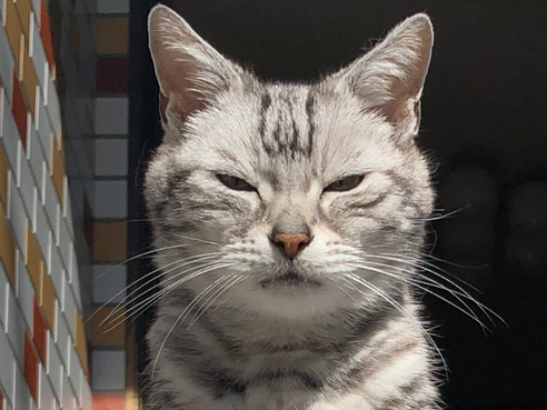 オンリーワン部門