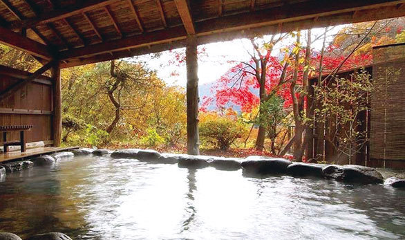 カモシカにも出会える老舗旅館 四万温泉「鹿覗キセキノ湯 つるや 