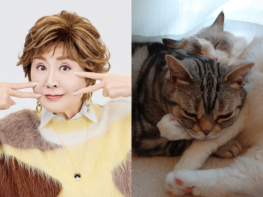 「生まれ変わったら小林幸子の猫になりたい」小林幸子さんが語る“幸”多き猫との暮らし【2月22日「猫の日」BSテレ東✕CREAのコラボ番組】