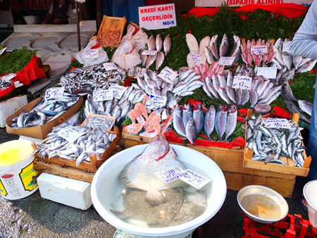 魚市場探索トルコ名物 サバサンド はカラキョイで 気になる世界の街角から