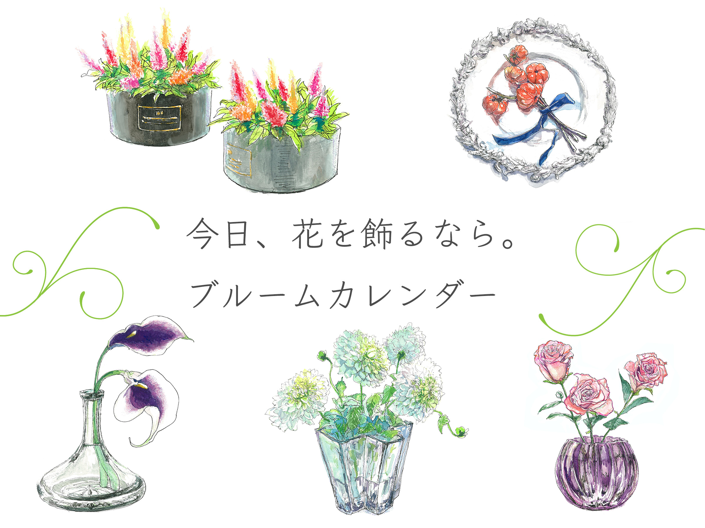 今日 飾りたい花 がわかる 10月1日 31日までの花を一挙公開 今日 花を飾るなら ブルームカレンダー 今日 飾りたい花 がわかる 10月1日 31日までの花を一挙公開 今日 花を飾るなら ブルームカレンダー