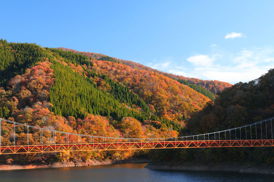 福井県 秋の絶景 風物詩5選 ダム湖に架かる橋と山岳の雅な風景 いつか行きたい 日本にしかない風景 再発見