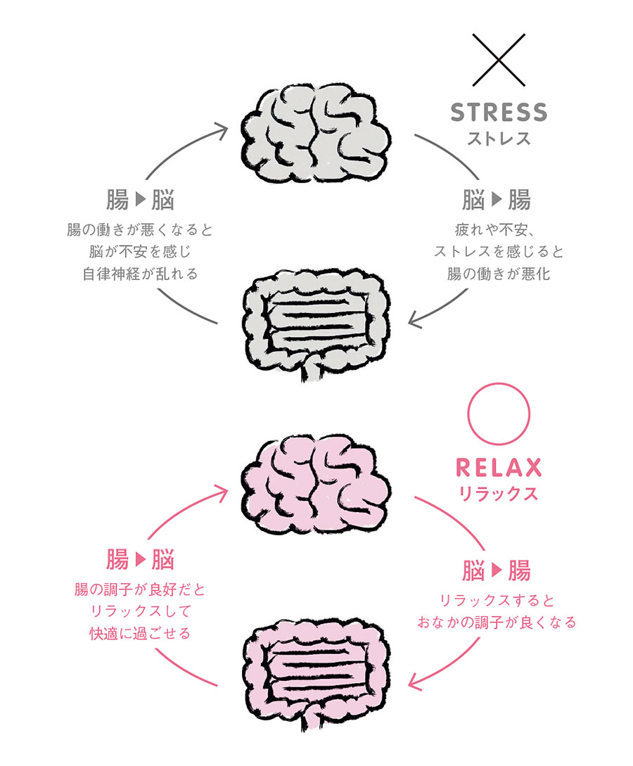 3ページ目 やる気も幸福感もアップ 腸内環境を整えて前向きな毎日を 腸活を始めると 世界が違って見える らしい