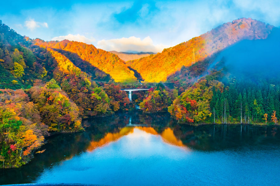 山形県 秋の絶景 風物詩5選 巨大ダム湖を湖岸の紅葉が彩る景観 いつか行きたい 日本にしかない風景 再発見