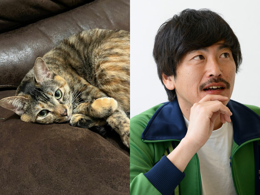 しずる・純「ロコディ堂前に見限られた」愛猫家とは思えない写真フォルダの中身と独特すぎる猫の愛し方「なでるのは50回まで」