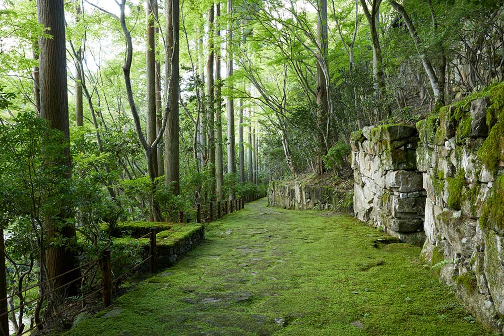 金閣寺から徒歩圏内の洛北エリアに アマン京都 グランドオープン 至福のホテル最新ニュース 写真 3枚目