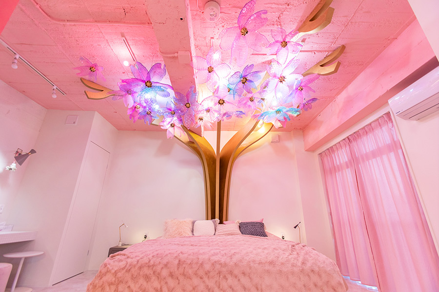 ピンクあふれる宿泊ルームに驚愕 原宿にオープンした Sakura とは