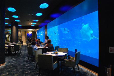世界最大の海洋水族館にオープン 女性鉄人シェフのレストラン 気になる世界の街角から