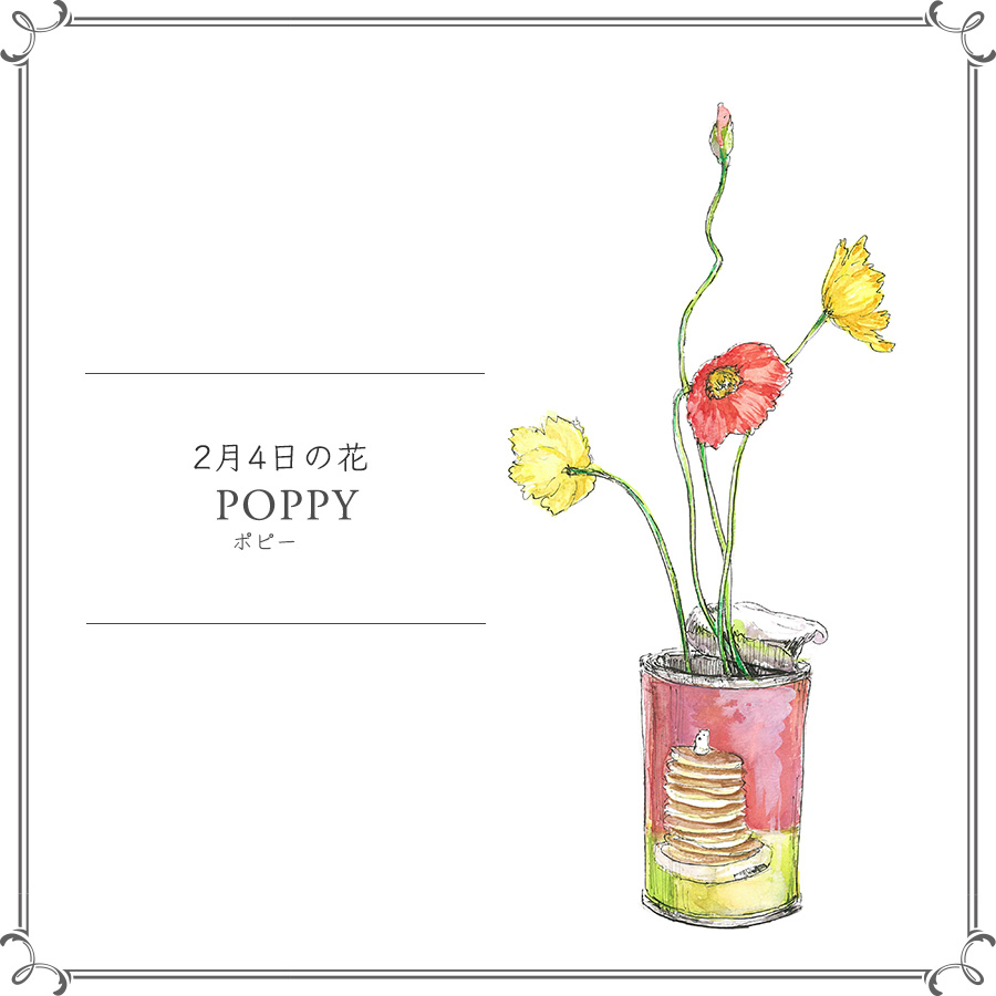 2月4日の花 ポピー 何色の花が咲くかワクワクして待とう 今日 花を飾るなら ブルームカレンダー
